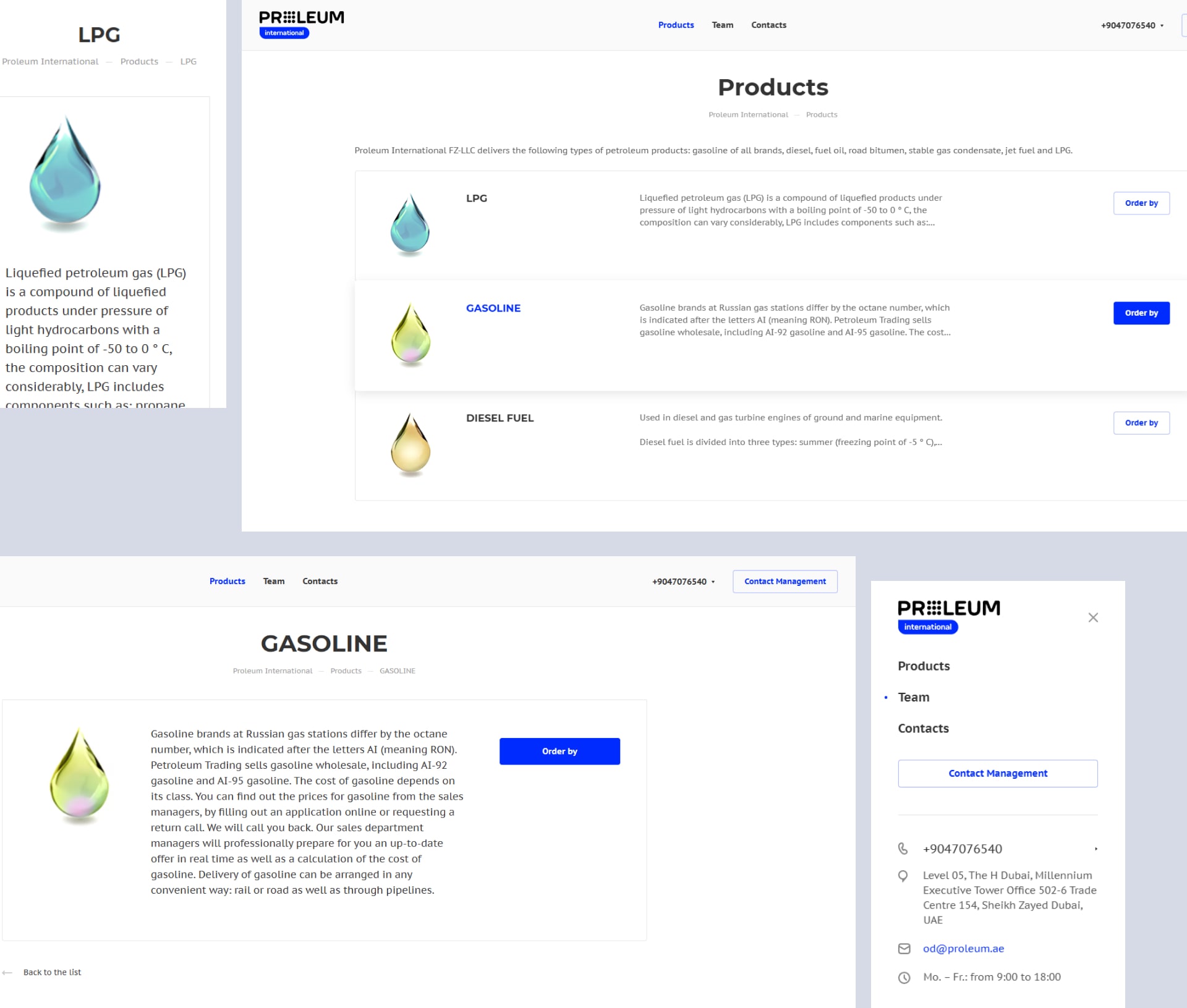Создание сайта Proleum International: Каталог