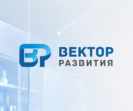 Создание сайта Вектор развития
