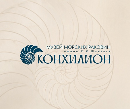 Создание сайта Конхилион